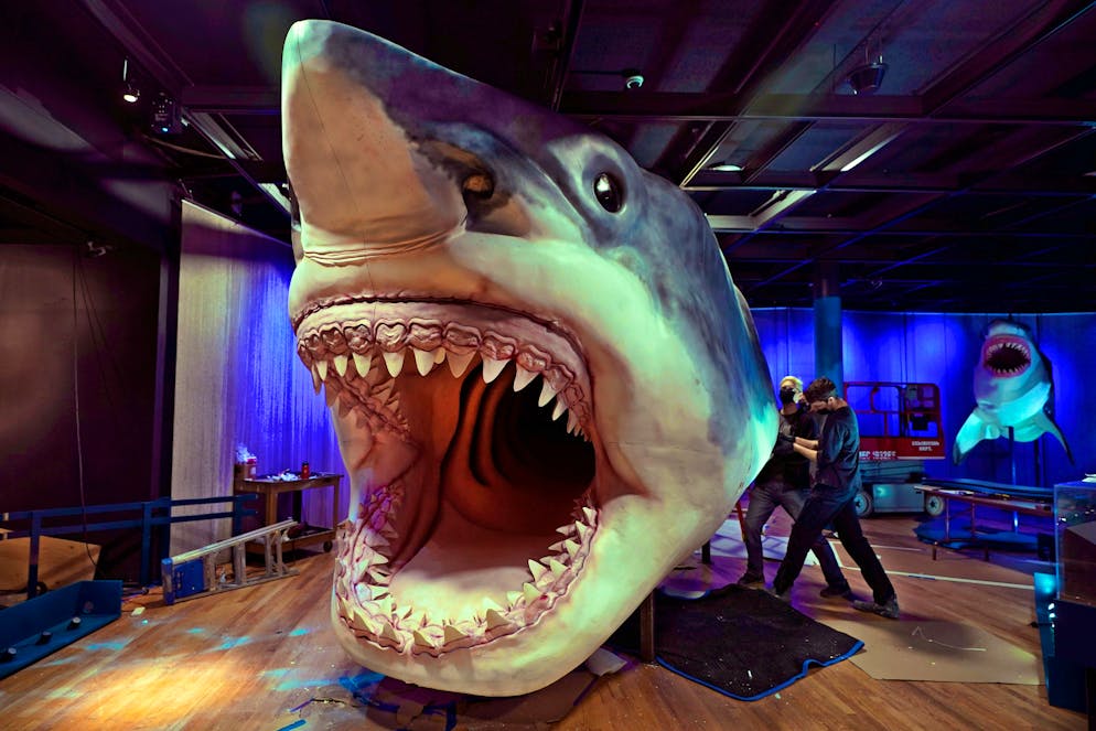 How big was the time shark really?