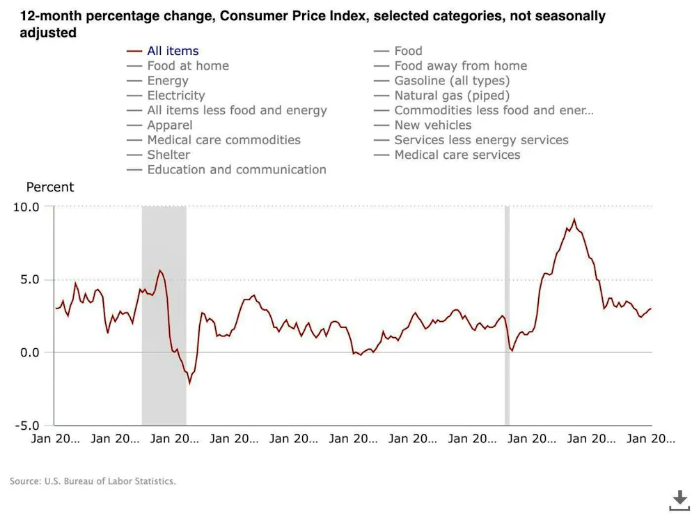 Development of consumer prices in the USA.