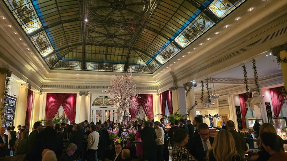 From sharks to baby news. What happened on the eve of the Federal Council elections - 11 insights