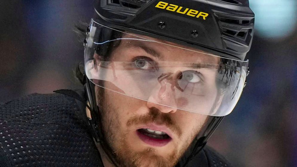 Pius Suter erzielte diese Saison mehr Tore in der NHL (17) als je zuvor - obwohl noch 18 Spiele ausstehen