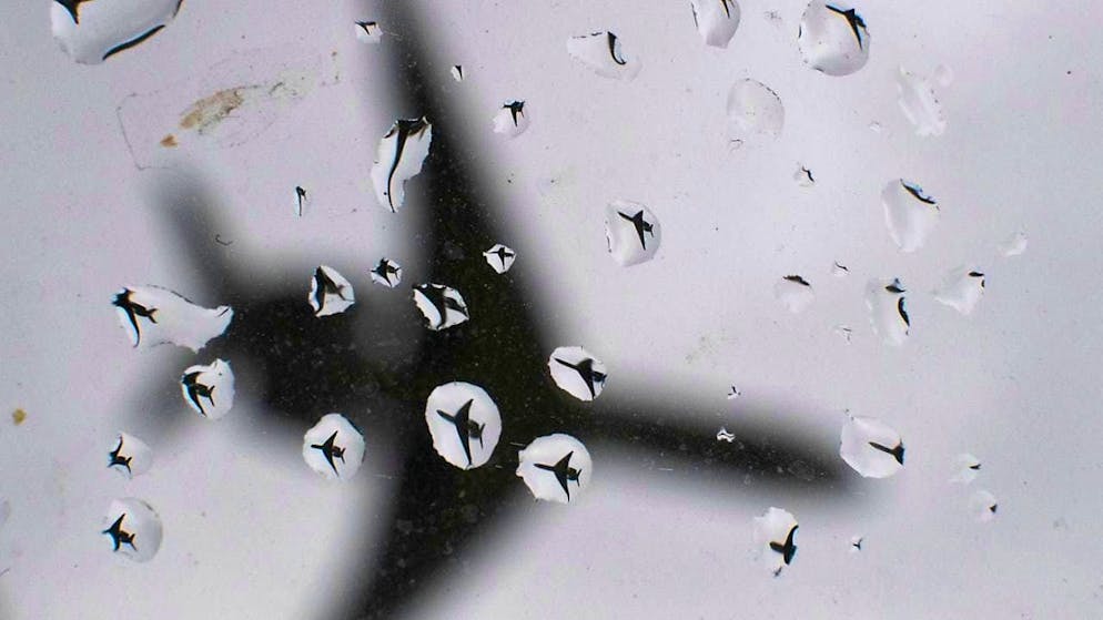 ARCHIVE - An airplane lands. Photo: Julian Stratenschulte/dpa