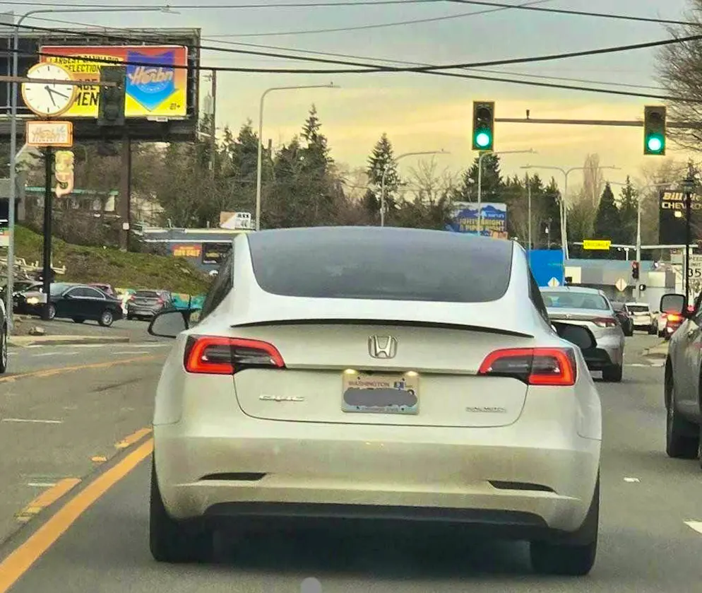 Tesla owners camouflage their cars. The next "Honda".