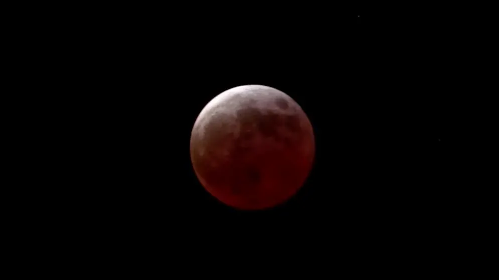 Himmelsspektakel gibt Rätsel auf. «Wo ist der Mond?» – verwirrte Amerikaner fragen Google um Rat