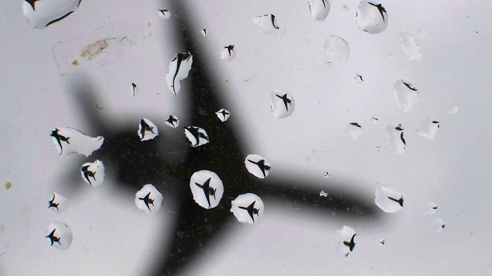 ARCHIV - Ein Flugzeug landet. Foto: Julian Stratenschulte/dpa