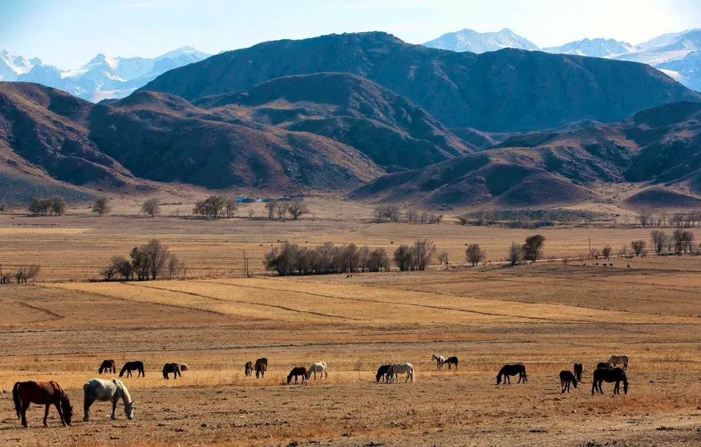 In present-day Kyrgyzstan, uranium was mined near the town of Mailuu-Suu during the Soviet era and radioactive waste was improperly stored.
