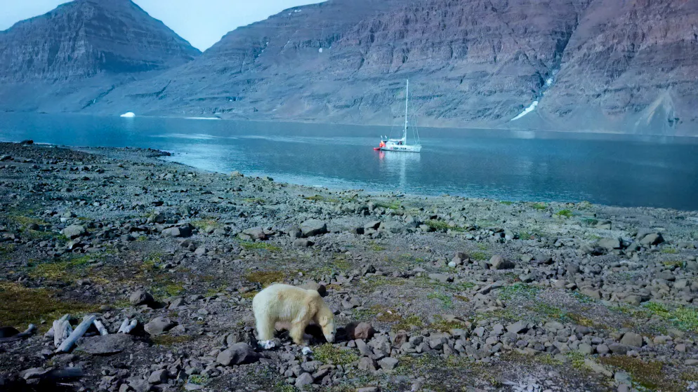 «Home is the Ocean»: Der Film porträtiert das Leben von Familie Schwörer. Eines der Highligts von Sabine Schwörer war die Sichtung eines Eisbären samt Baby. 