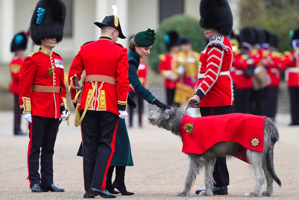 Prinzessin Kate begeht St.-Patrick's-Day in London - Gallery. Kate ist seit 2023 Colonel der Irish Guards. Die Rolle hatte sie von ihrem Mann, Prinz William, übernommen.