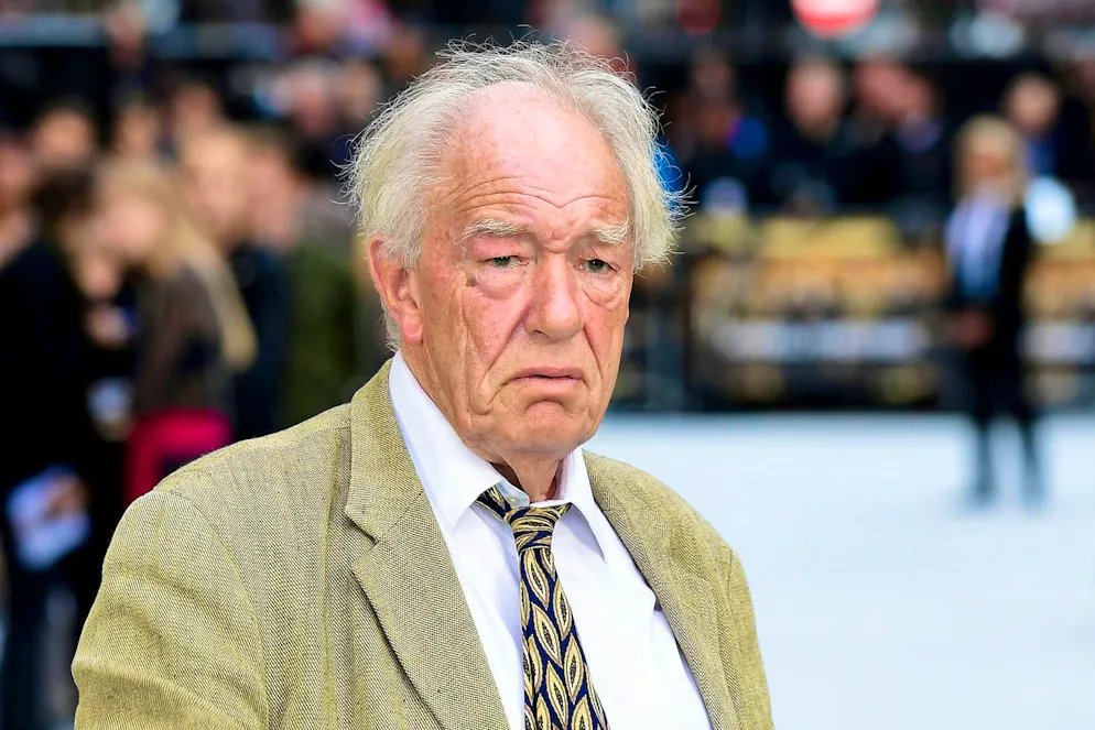 Sir Michael Gambon became Dumbledore's replacement in the "Harry Potter" film series.