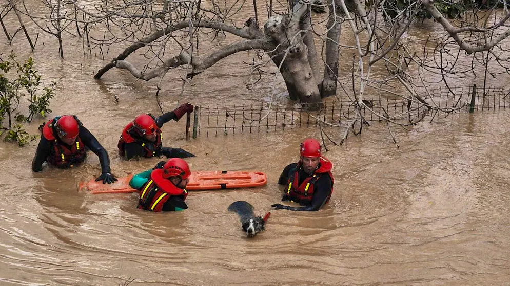 Rescue workers rescue a dog from flooded areas after heavy rains in Malaga, Spain.