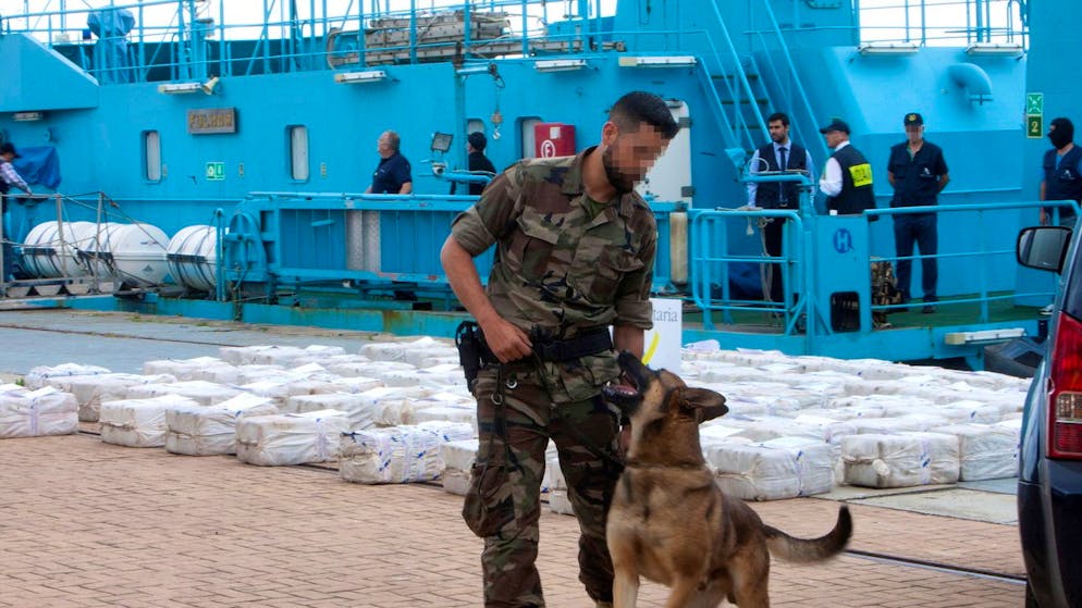«Weisser Tsunami». Drogenmafia überschwemmt Europa mit Kokain