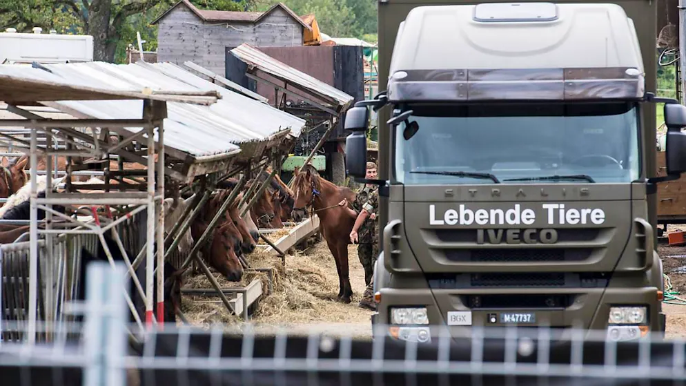 Am 8. August 2017 räumte die Armee den Hof des Pferdezüchters in Hefenhofen, der unter dem Verdacht der Tierquälerei stand.