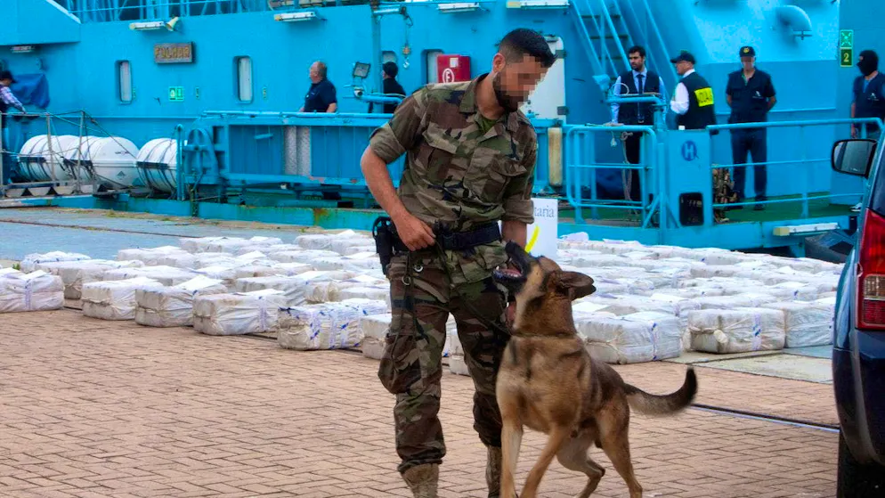 A Spanish drug-sniffing dog sniffed out cocaine in the port of Vigo.