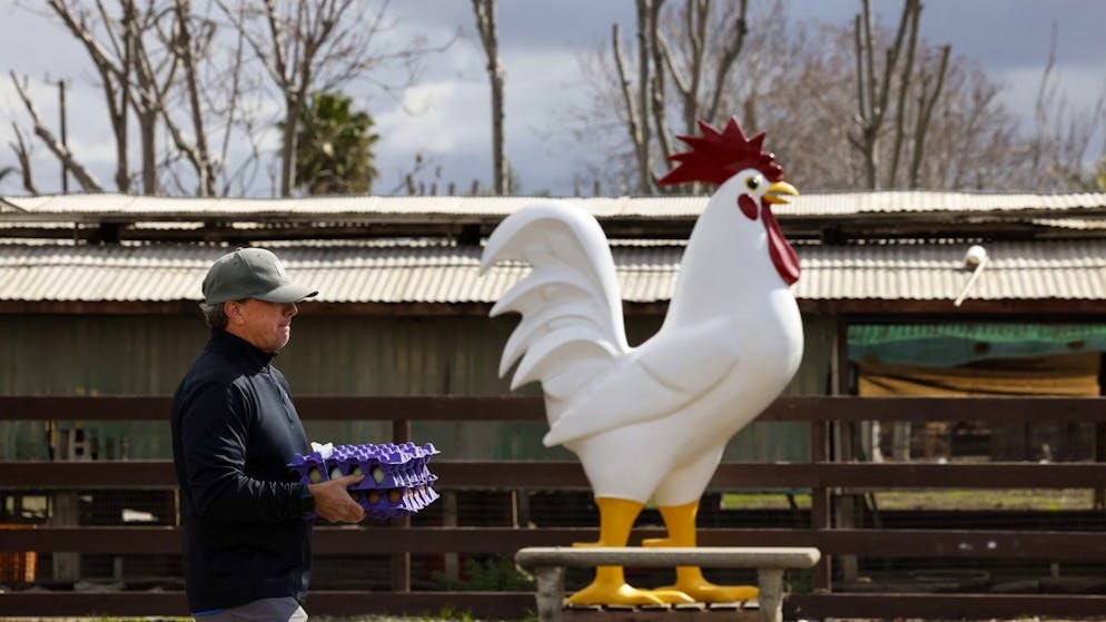 6 questions & answers. 