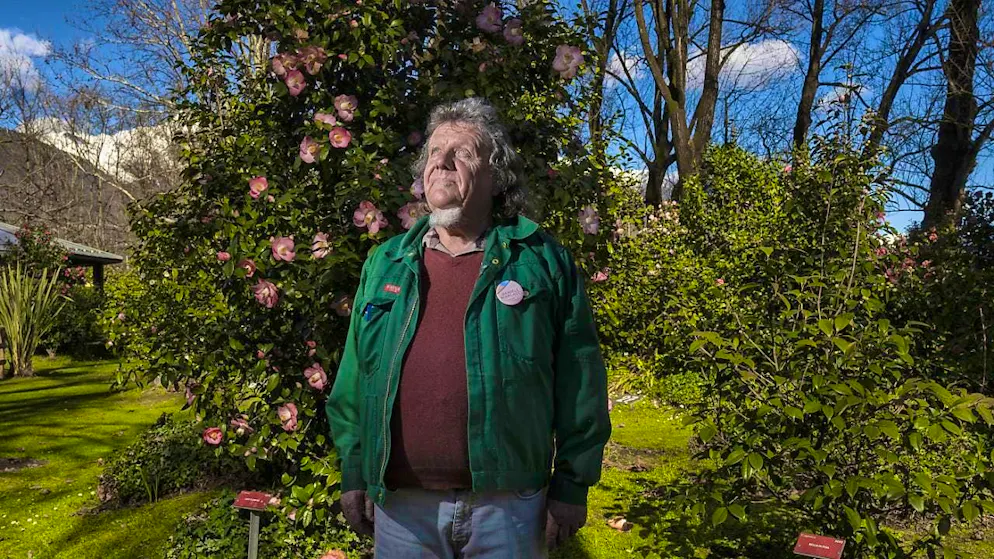 Locarno celebrates the camellia and the beginning of spring - Gallery. He likes the camellias with the small flowers best: Daniele Marcacci, President of the Swiss Camellia Society.