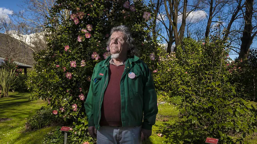 Locarno feiert die Kamelie und den Frühlingsbeginn - Gallery. Er mag die Kamelien mit den kleinen Blüten am liebsten: Daniele Marcacci, Präsident der Schweizerischen Kameliengesellschaft.