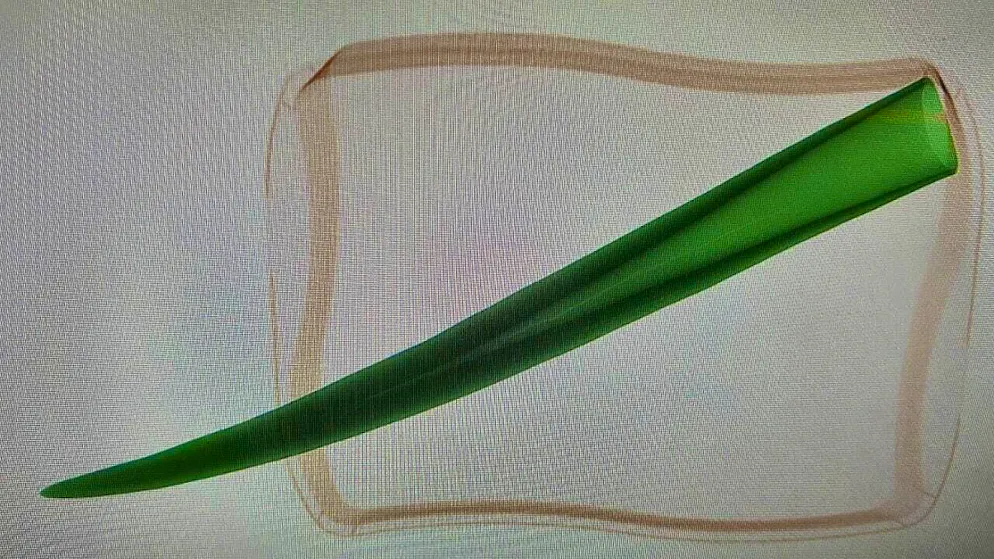 The tusk of an elephant was discovered last week at Geneva Airport when an American citizen's luggage was x-rayed before it was placed in the hold.