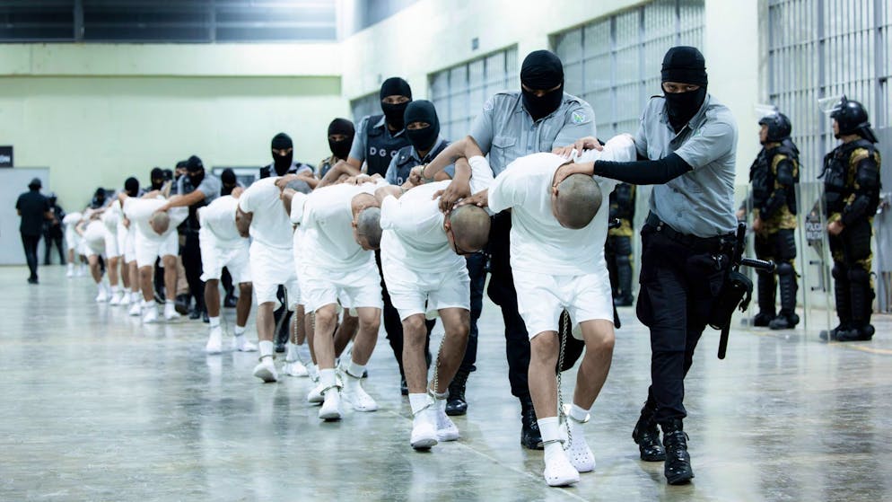 Silent US deportation machine. These 5 stories expose Trump's hunt for migrants