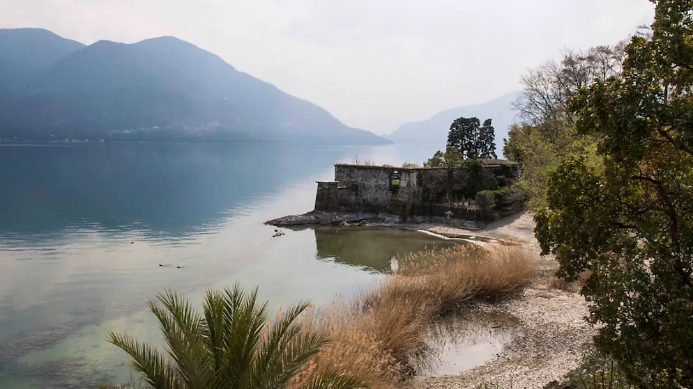 75-Jahr-Jubiläum der Sommersaison auf den Brissago-Inseln im Tessin - Gallery. Einzigartiges Mikroklima: Auf den Brissago-Inseln gedeihen subtropische Pflanzen aus aller Welt. (Archivbild)