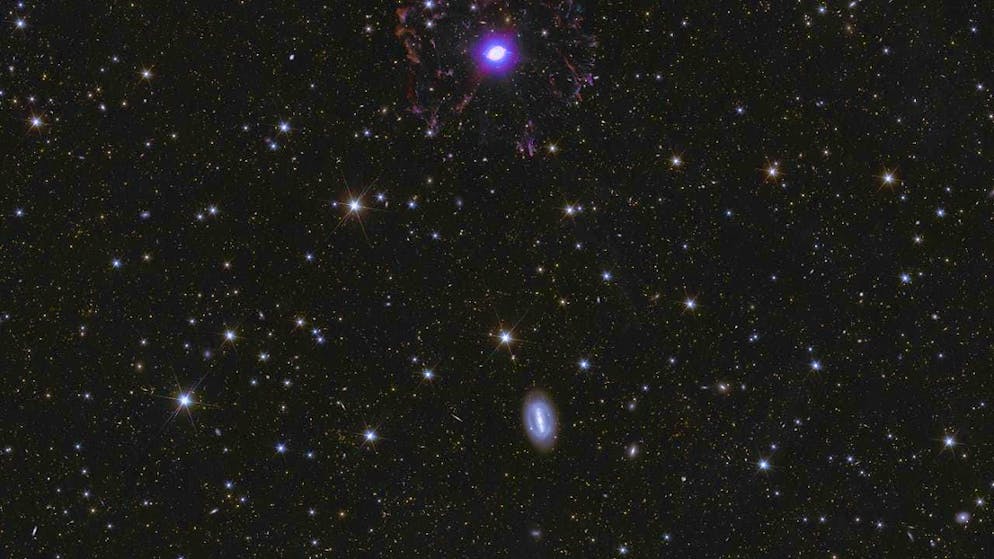 This image taken by Euclid shows numerous stars and galaxies.