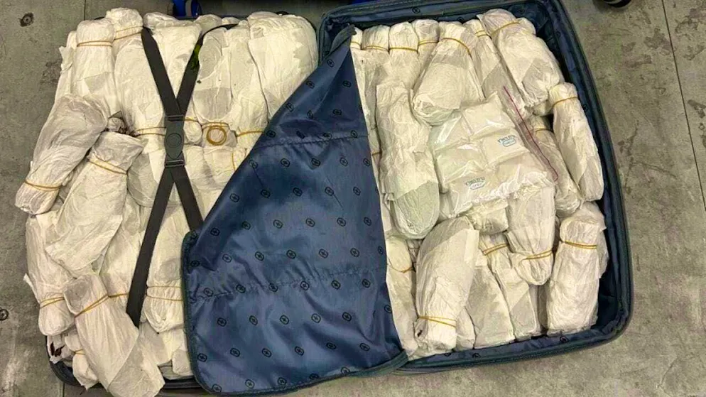 Customs officials seize drugs during car transport in Valais - Gallery. 61 kilograms of khat were hidden in two suitcases.