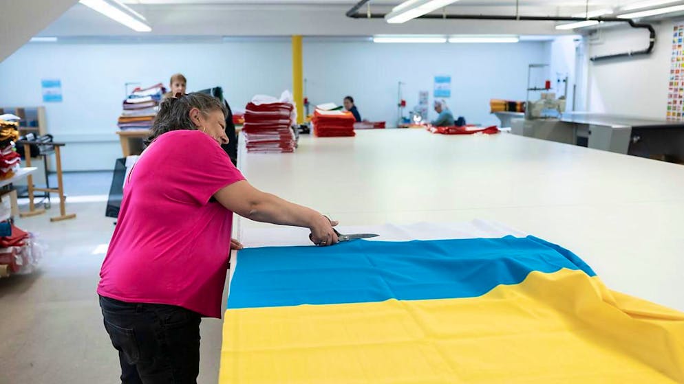 Die berufliche Integration von geflüchteten Ukrainerinnen geht langsamer voran als gedacht. (Archivbild)