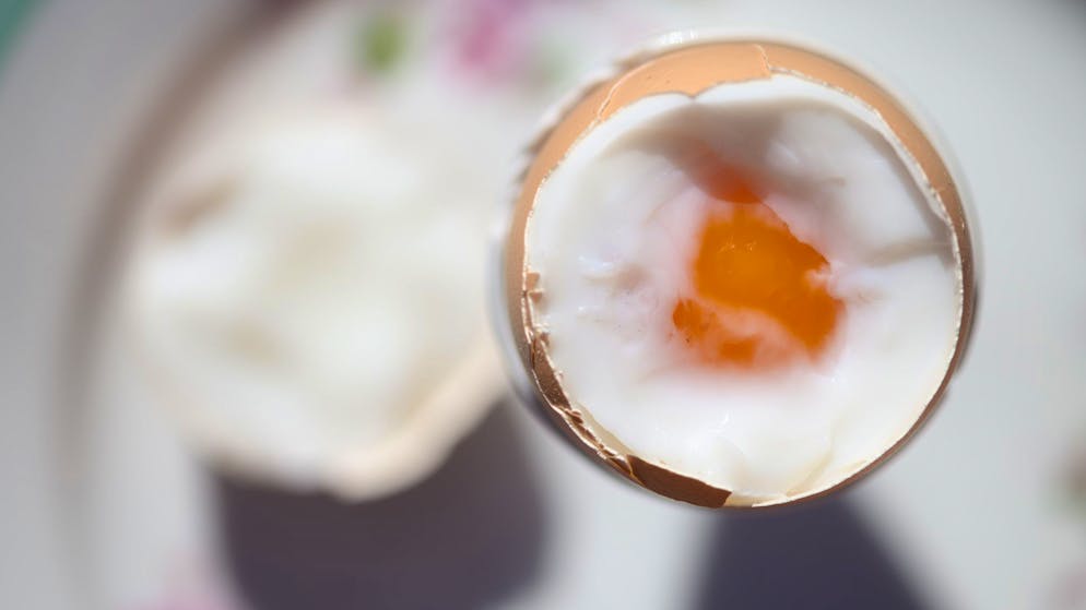 Les oeufs diabolisés à tort!. Une étude met fin aux mythes sur le cholestérol