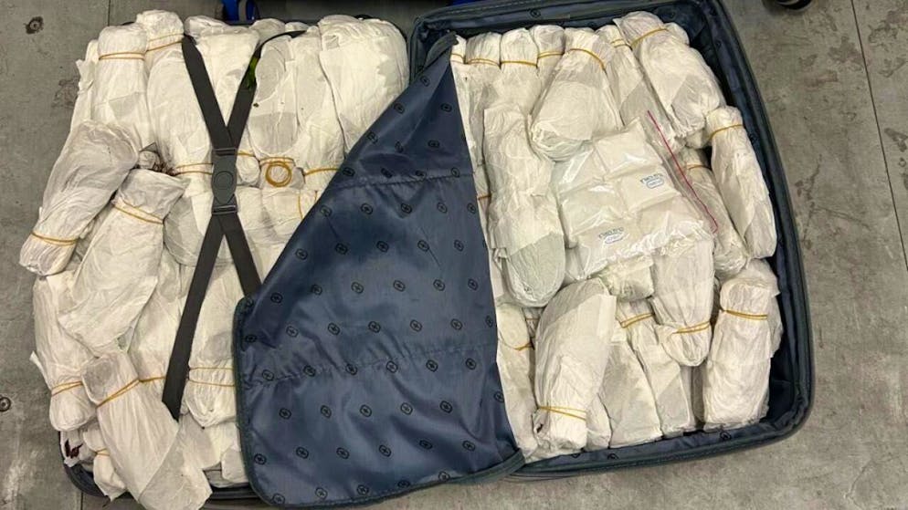 Zollbeamte beschlagnahmen Drogen bei Autoverlad im Wallis - Gallery. 61 Kilogramm Khat waren in zwei Koffern versteckt.