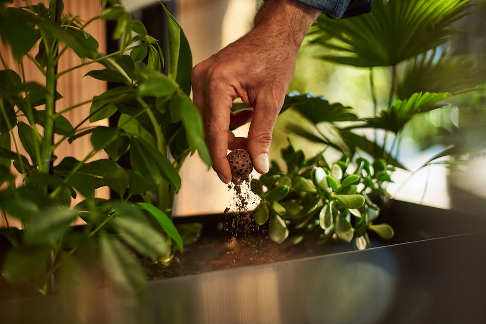 Ideal fürs Kompositeren daheim: Die Coffee B Kapseln, die keine Fremdstoffe wie Plastik oder Aluminium verwenden.