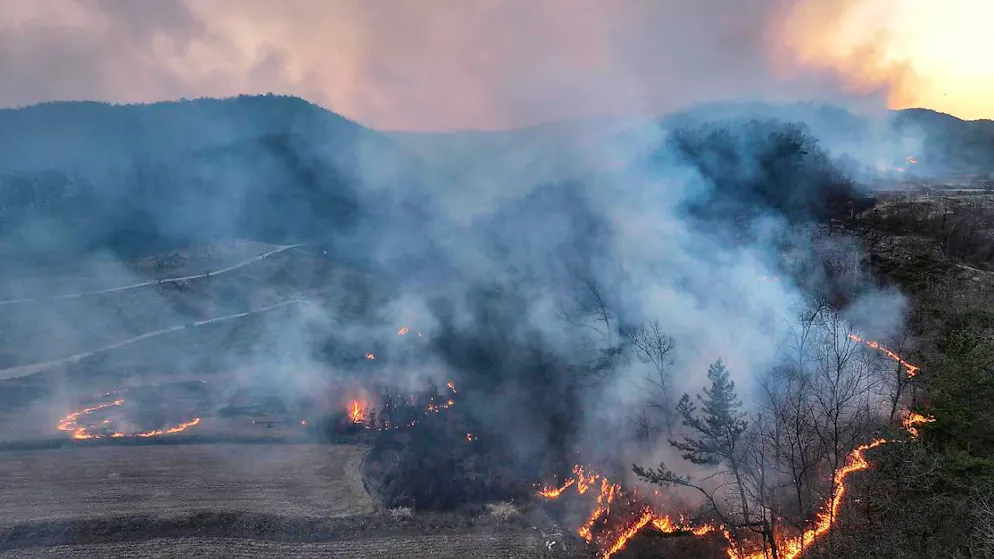 Ein Waldbrand breitet sich an einem Berg in Uiseong, Südkorea, aus. Foto: Yoon Gwan-shick/Yonhap/AP/dpa