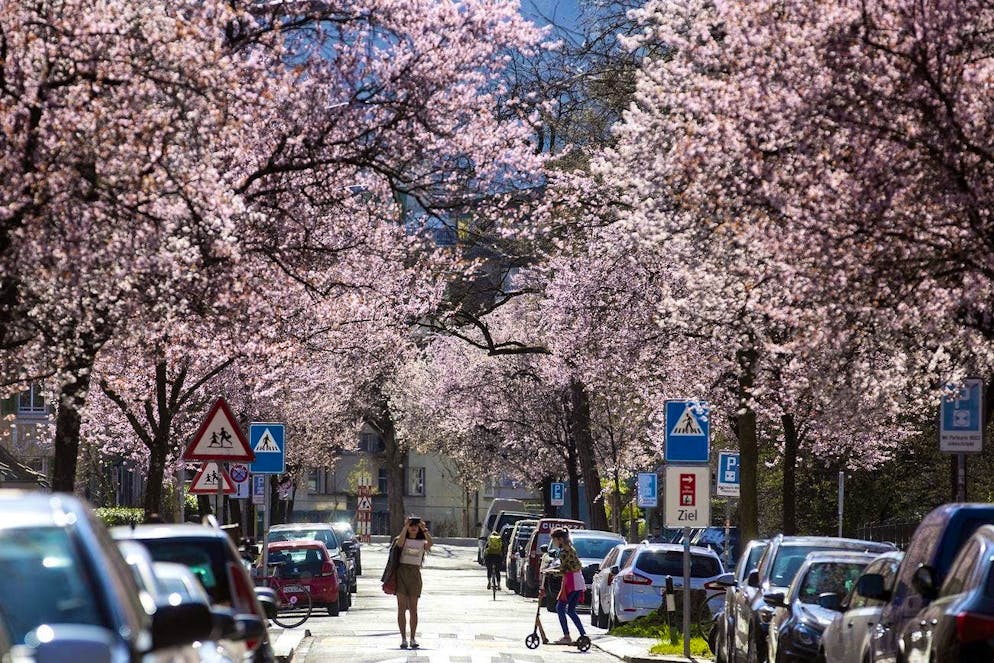 Bertastrasse in Zurich is definitely worth a visit.