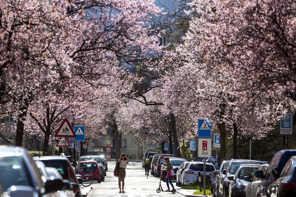Die Bertastrasse in Zürich ist definitiv einen Besuch wert.