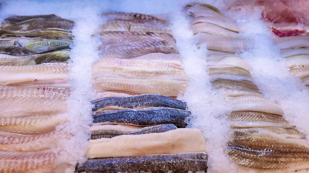 According to experts, bottom trawling accounts for two percent of Europe's animal protein supply. (archive image)