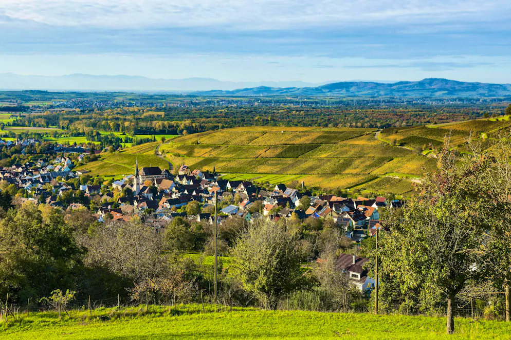 Police have made a terrible discovery in the idyllic Markgräflerland region of the southern Black Forest.