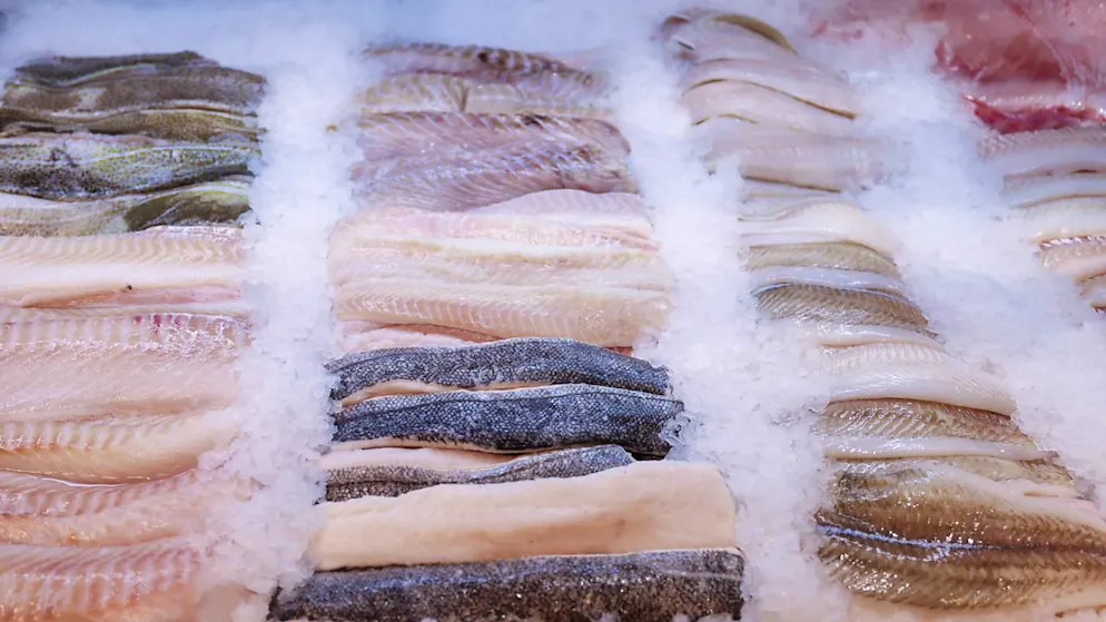 Die Grundschleppnetz-Fischerei trägt laut den Fachleuten zwei Prozent zur Versorgung Europas mit tierischem Eiweiss bei. (Archivbild)