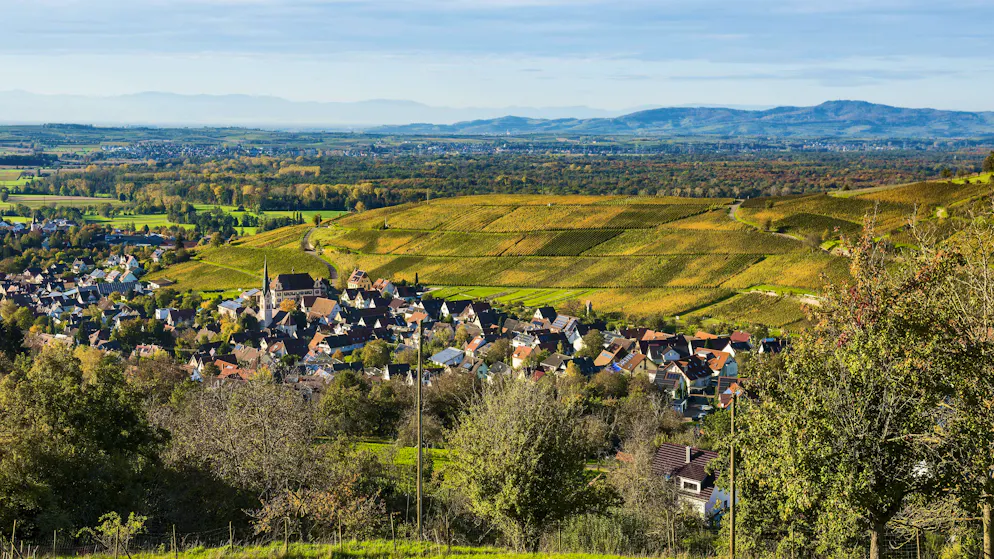 Tragedy in Baden-Württemberg. Police find two babies' bodies in the Black Forest