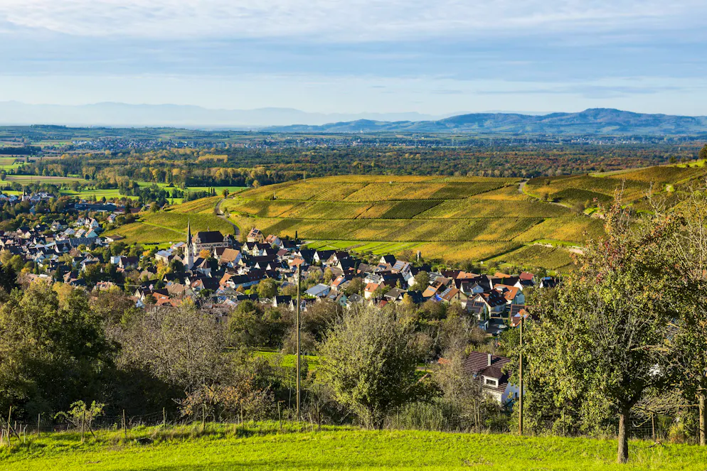 Im idyllischen Markgräflerland des südlichen Schwarzwalds machte die Polizei einen schrecklichen Fund.