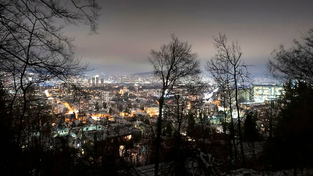 Zuviel nächtliches Licht stört Kohlmeisen beim Brüten - Gallery. Nächtlich hell erleuchtete Städte (im Bild: Zürich) halten Kohlmeisen vom Brüten in ihren Nistkästen ab. (Themenbild)