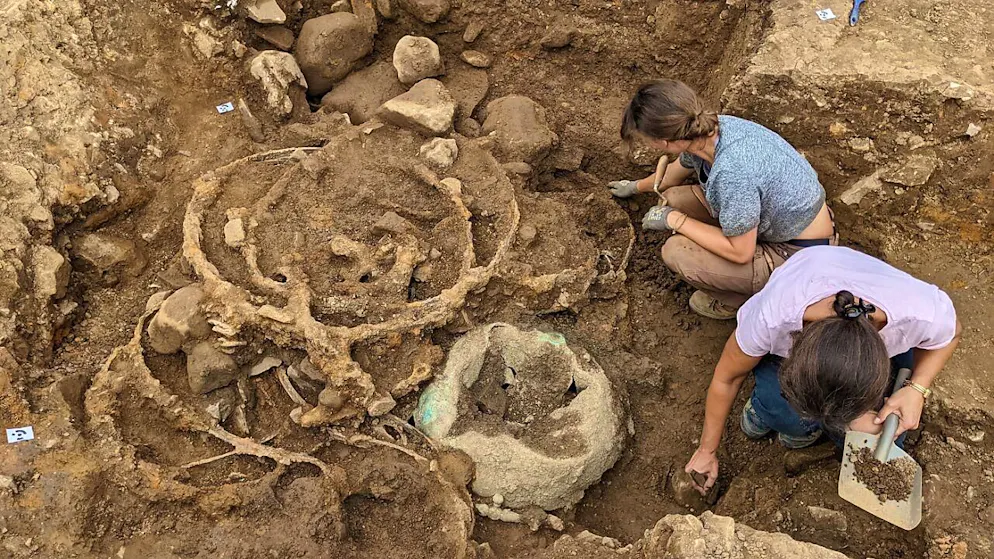 Unter Leitung von Archäologen der Universität Durham wurden sie aufwendig geborgen.