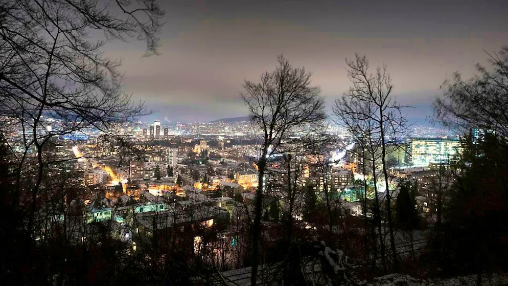 Too much light at night disturbs great tits during breeding - Gallery. Brightly lit cities at night (pictured: Zurich) discourage great tits from breeding in their nest boxes. (theme picture)