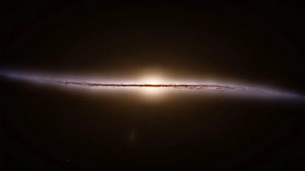 The 