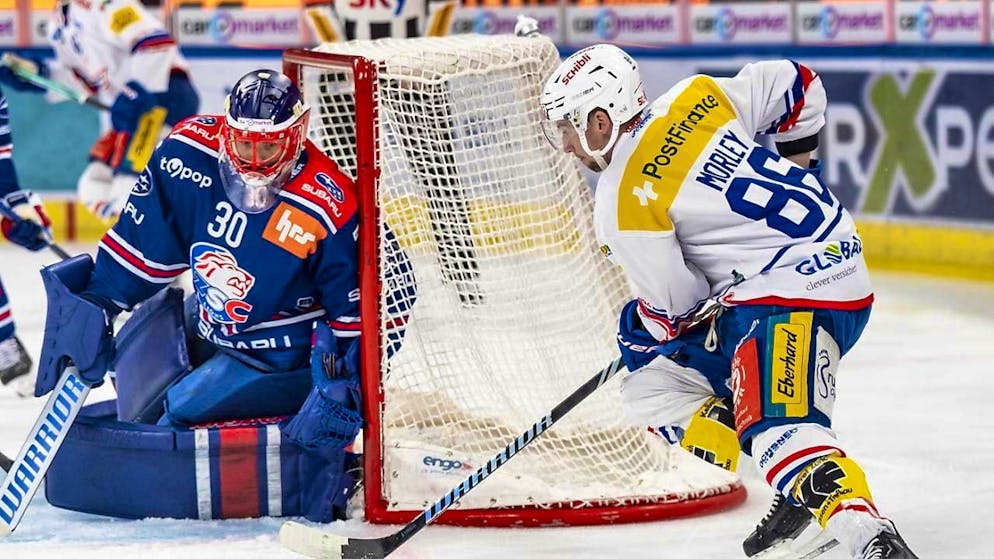 Champions against record champions and a duel of the titleless - Gallery. With Simon Hrubec, the ZSC Lions also have an absolute top goalie between the posts