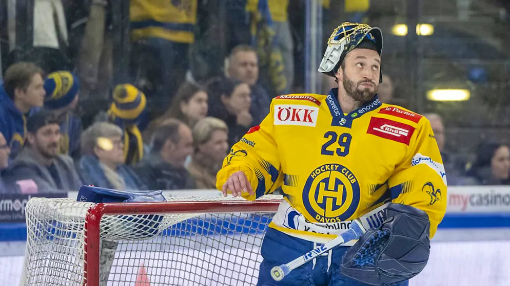 Meister gegen Rekordmeister und ein Duell der Titellosen - Gallery. Zeigt bislang überragende Playoffs:  HCD-Goalie Sandro Aeschlimann