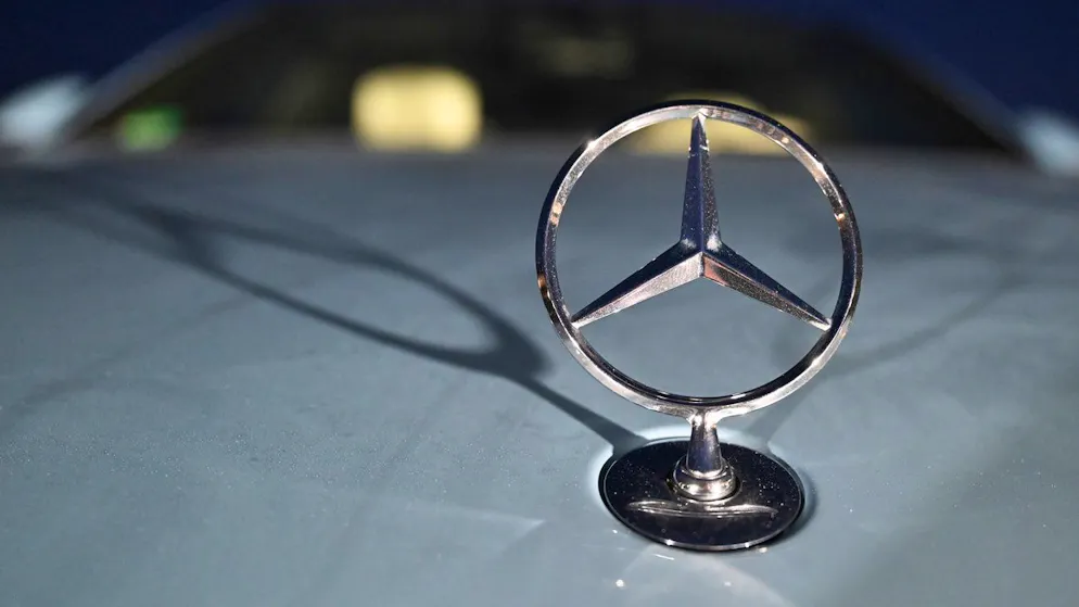 Eine junge Mercedes-Fahrerin im Kanton Bern hat einen Hund auf dem Gewissen.
