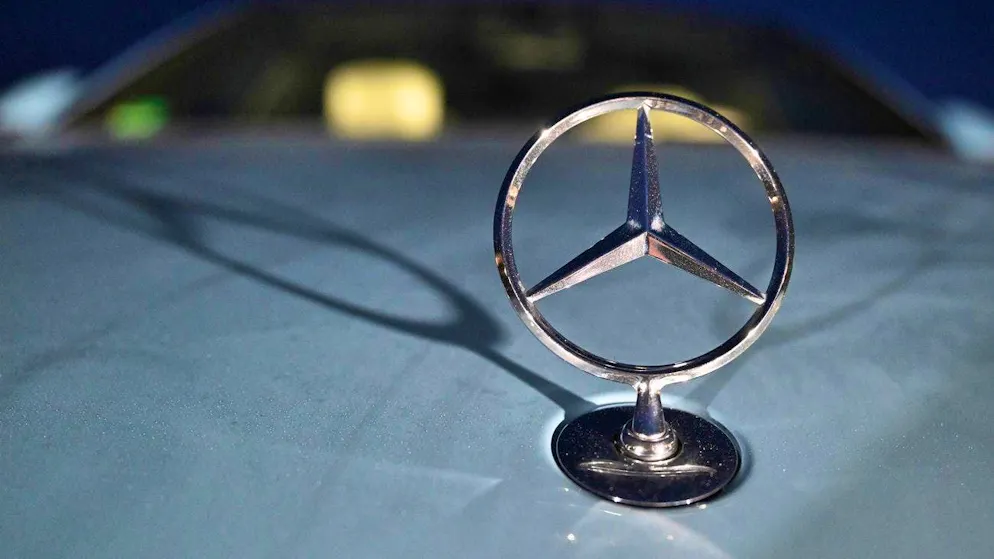 A young Mercedes driver in the canton of Bern has a dog on her conscience.