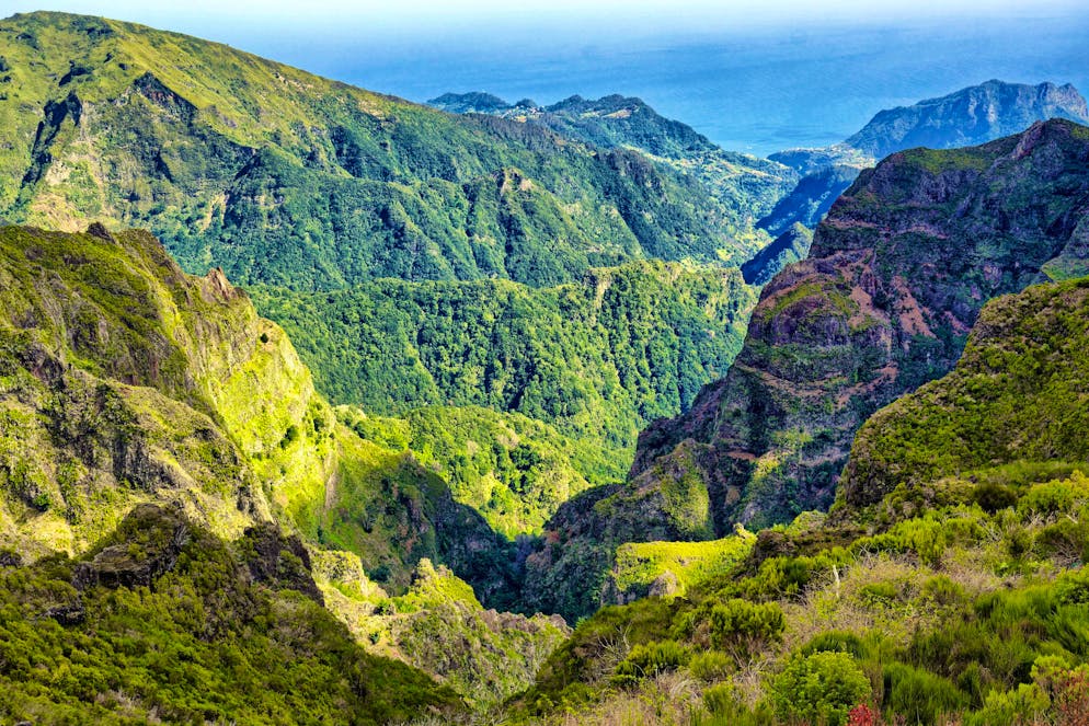 Mountain landscape near the Pico do Areeiro, cliffs on Madeira (symbolic image).