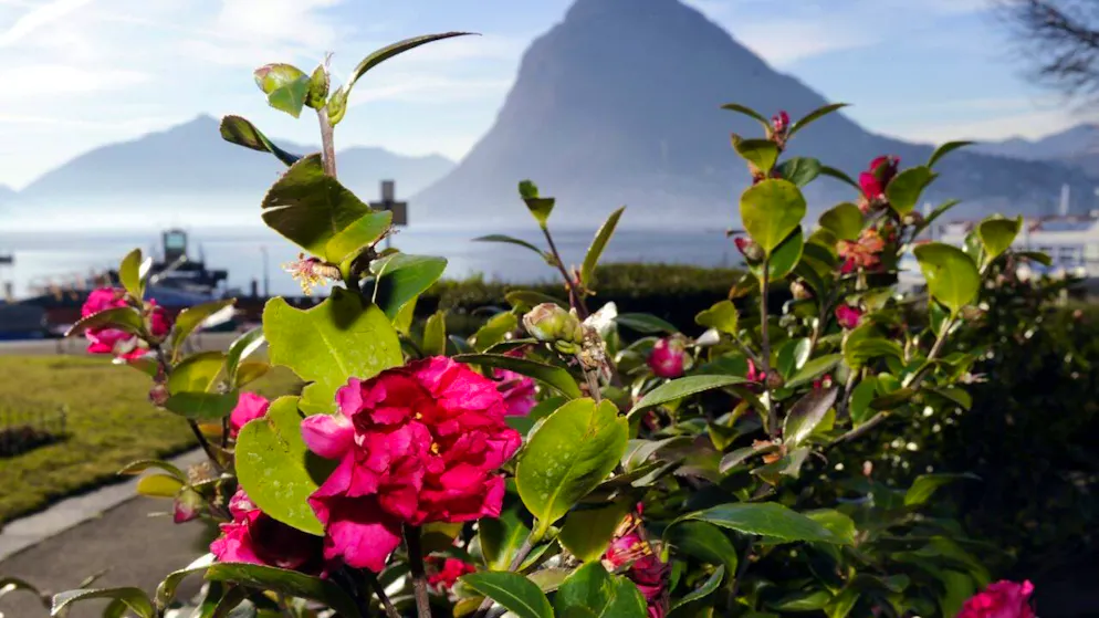 In Lugano ist am Montagmorgen eine rekordverdächtige Tiefsttemperatur für den Monat März gemessen worden. (Archivbild)