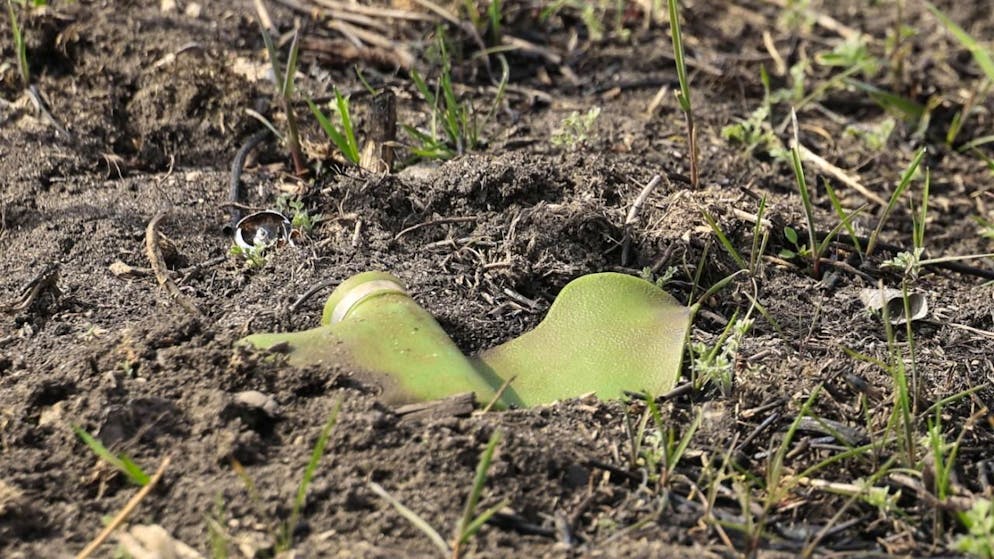 Una mina PFM-1 scoperta nelle operazioni di sminamento nella regione di Kharkiv, nel nord este dell'Ucraina.