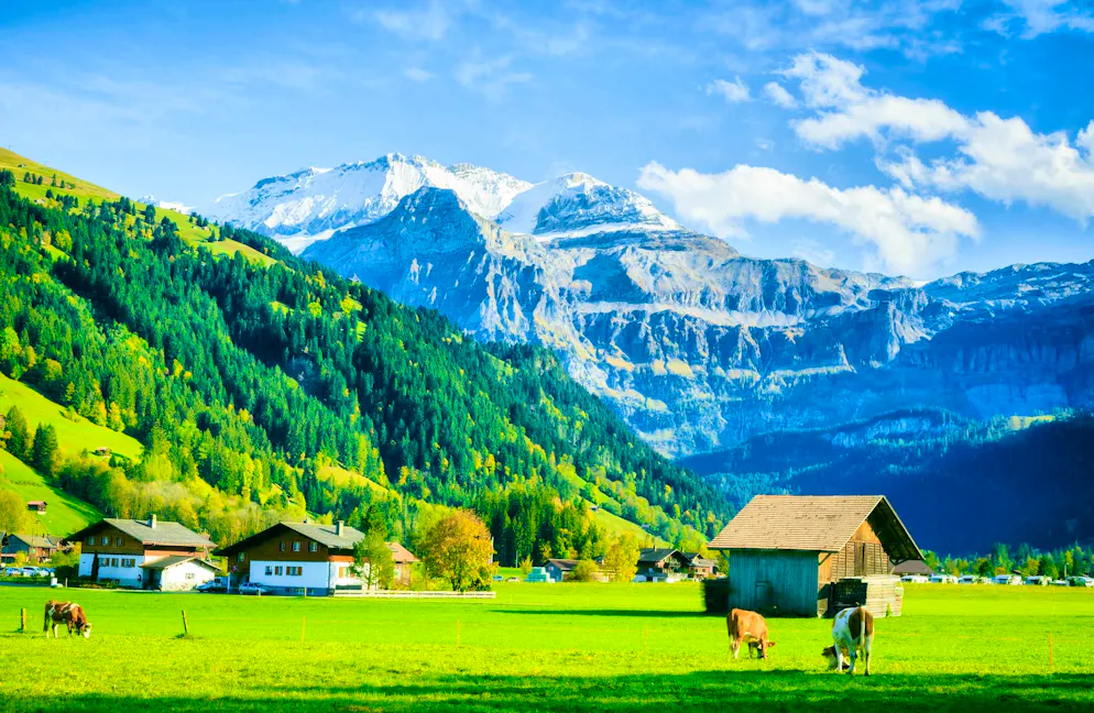 The Simmental in the Bernese Oberland is also affected by this development.