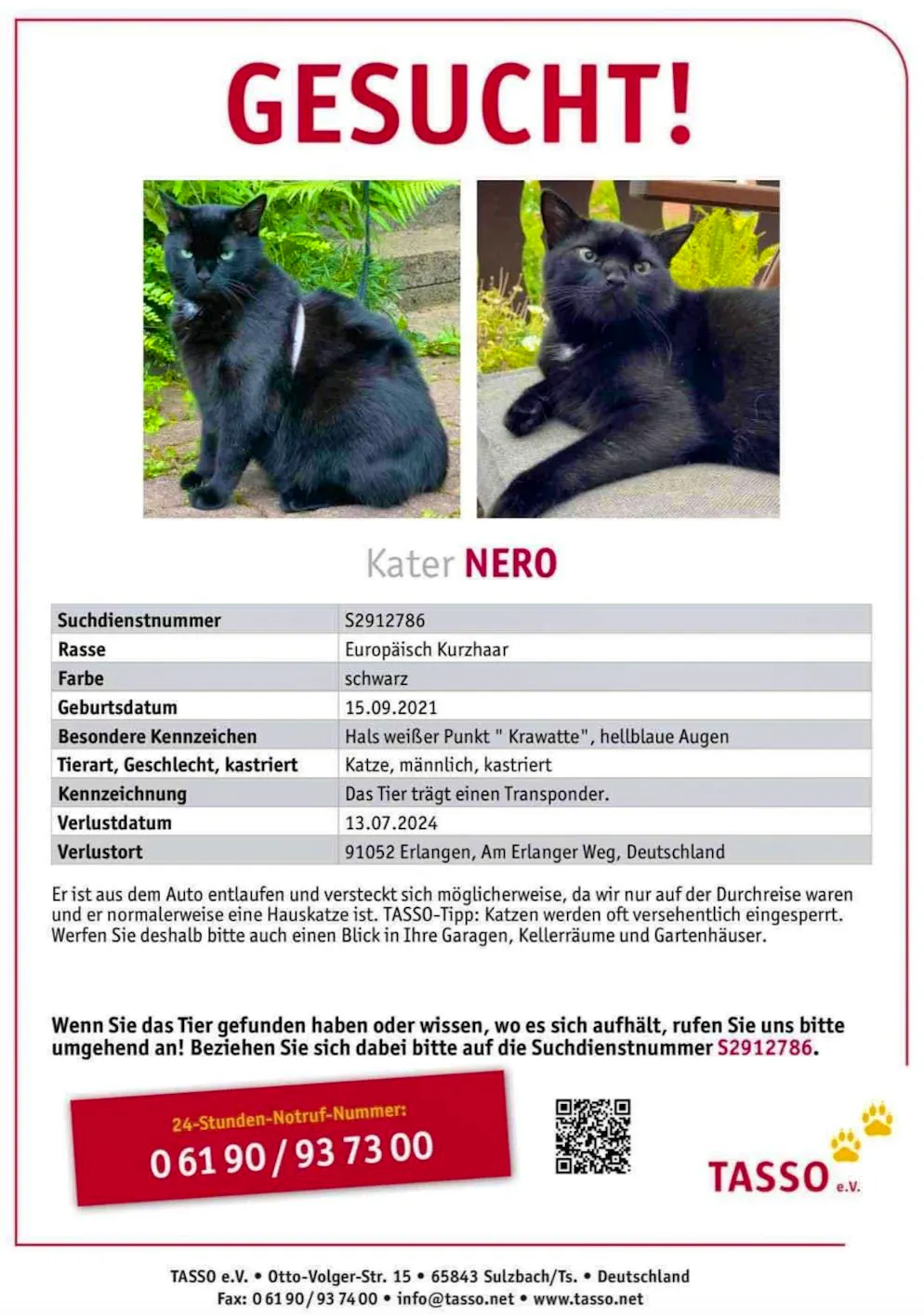 Monika and Rafael Klajnszmit's tomcat Nero has been missing since mid-July 2024. Since then, the couple have been looking for the animal every weekend.