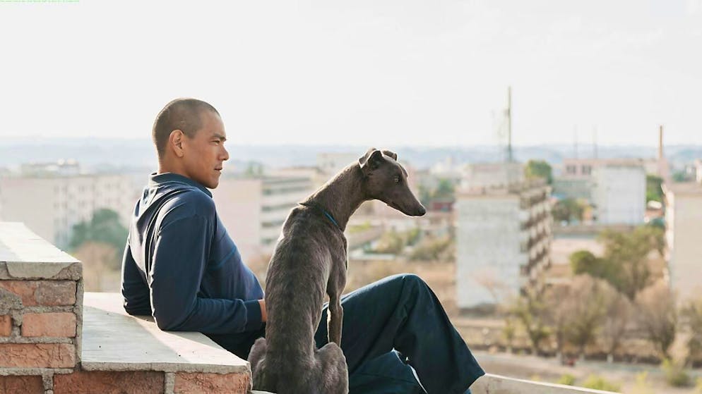 Una scena tratta dal film "Black Dog" di Guan Hu.